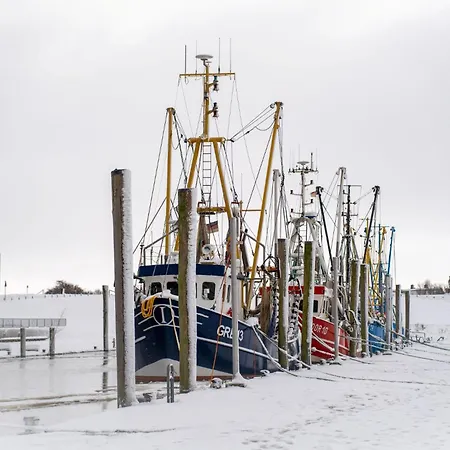 Nordseetraum Achtern Diek 2-21 * Dorumer Neufeld